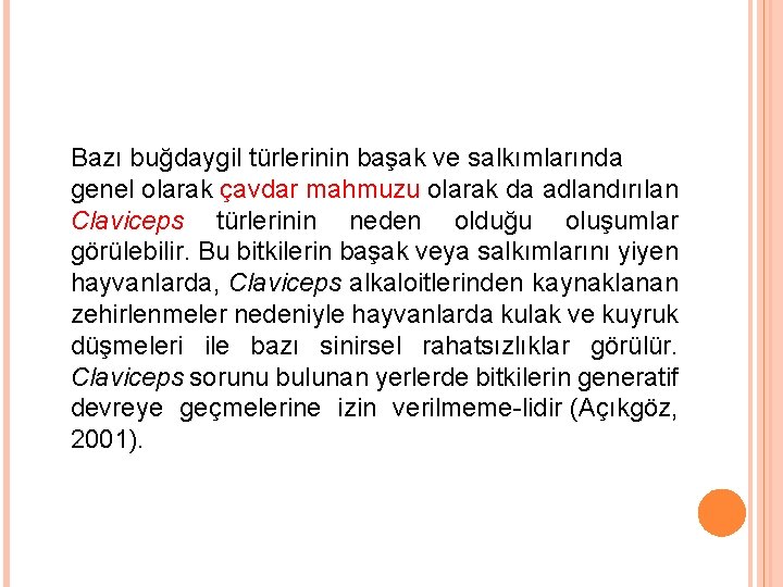 Bazı buğdaygil türlerinin başak ve salkımlarında genel olarak çavdar mahmuzu olarak da adlandırılan Claviceps