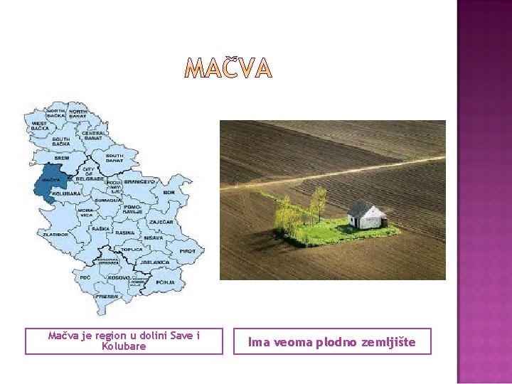 Mačva je region u dolini Save i Kolubare Ima veoma plodno zemljište 