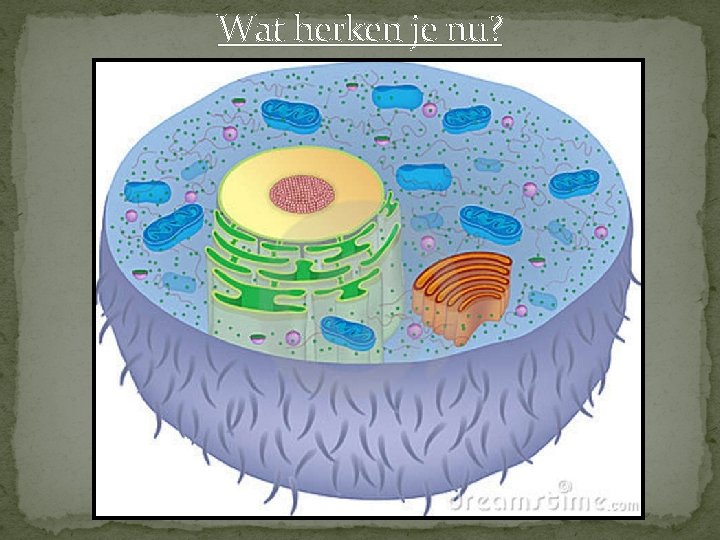 Wat herken je nu? 