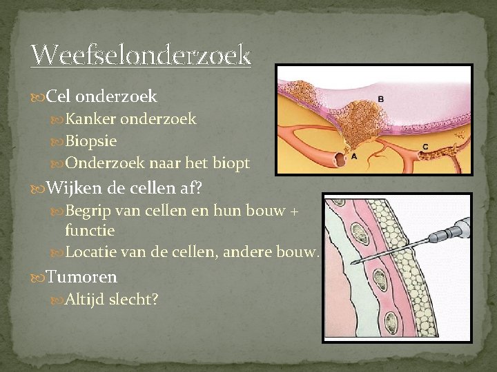Weefselonderzoek Cel onderzoek Kanker onderzoek Biopsie Onderzoek naar het biopt Wijken de cellen af?