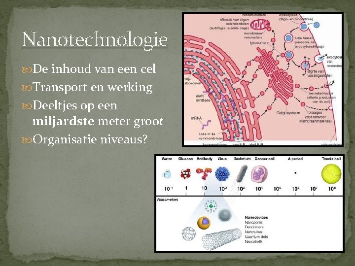 Nanotechnologie De inhoud van een cel Transport en werking Deeltjes op een miljardste meter