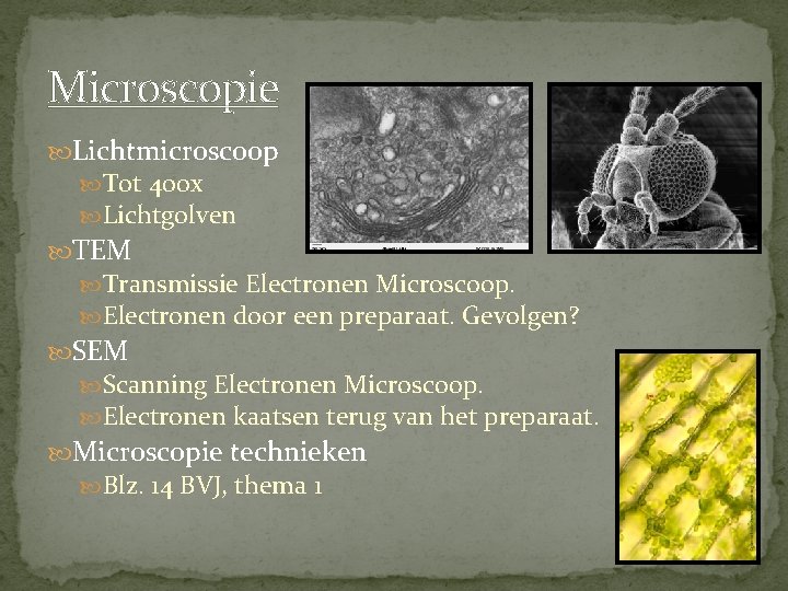 Microscopie Lichtmicroscoop Tot 400 x Lichtgolven TEM Transmissie Electronen Microscoop. Electronen door een preparaat.