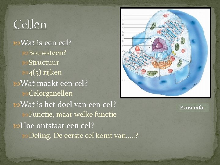Cellen Wat is een cel? Bouwsteen? Structuur 4(5) rijken Wat maakt een cel? Celorganellen