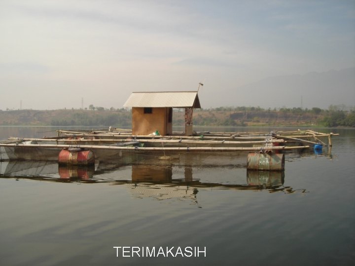 TERIMAKASIH 