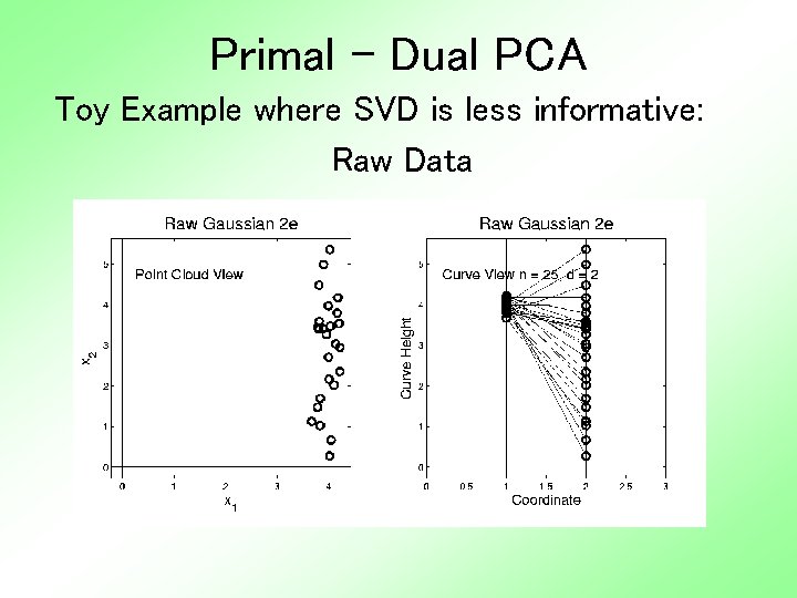 Primal - Dual PCA Toy Example where SVD is less informative: Raw Data 