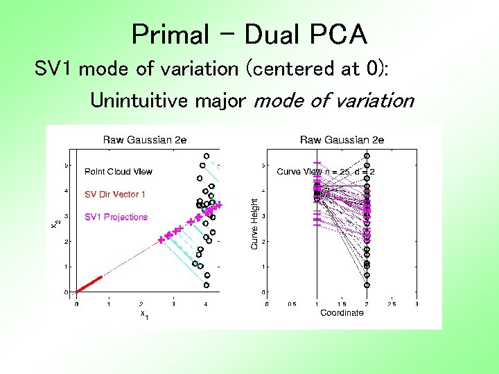 Primal - Dual PCA SV 1 mode of variation (centered at 0): Unintuitive major
