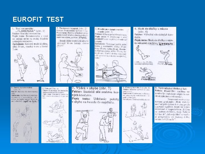 EUROFIT TEST 