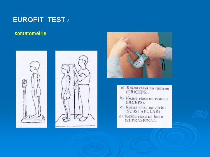 EUROFIT TEST 2 somatometrie 