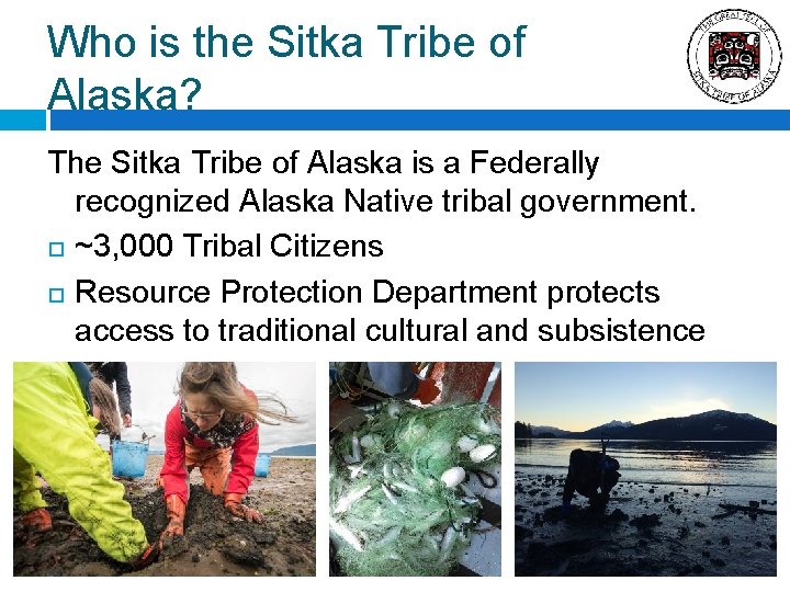 Who is the Sitka Tribe of Alaska? The Sitka Tribe of Alaska is a