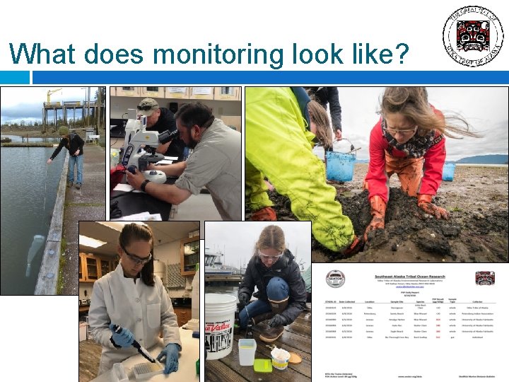 What does monitoring look like? 