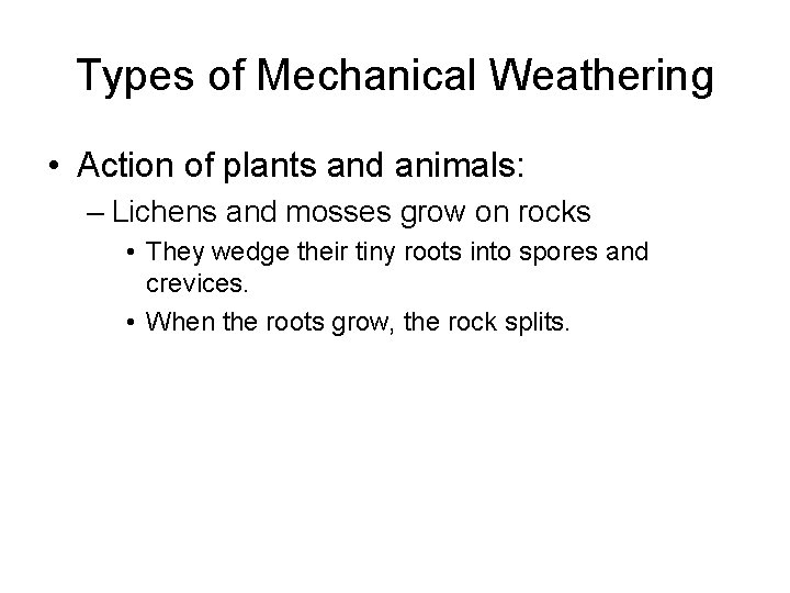 Types of Mechanical Weathering • Action of plants and animals: – Lichens and mosses