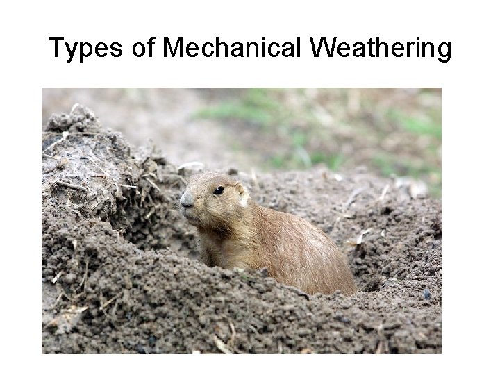 Types of Mechanical Weathering 