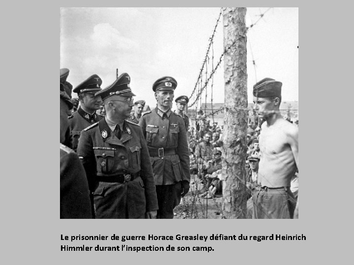 Le prisonnier de guerre Horace Greasley défiant du regard Heinrich Himmler durant l’inspection de
