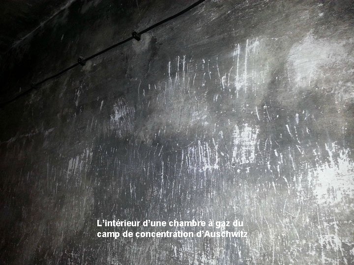 L’intérieur d’une chambre à gaz du camp de concentration d’Auschwitz 