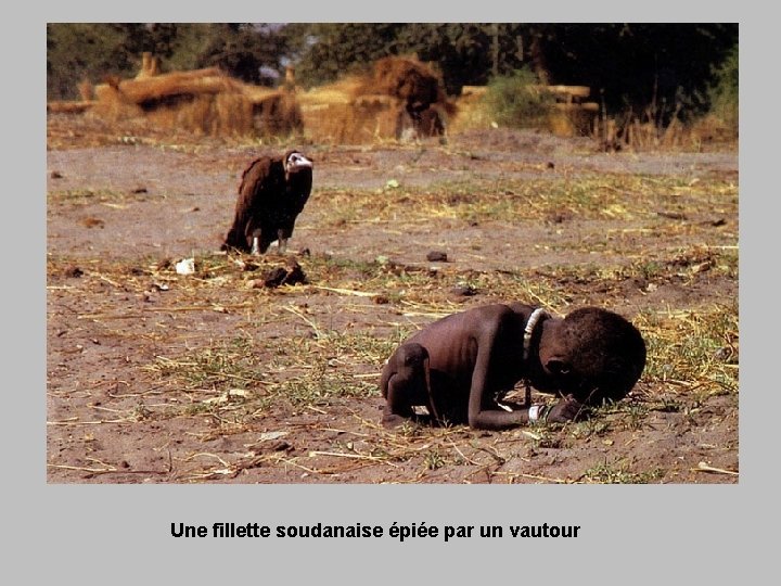 Une fillette soudanaise épiée par un vautour 