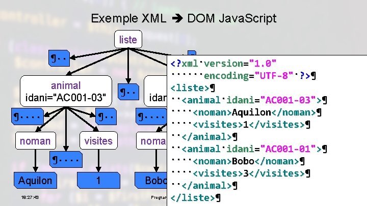 Exemple XML DOM Java. Script liste ¶·· animal idani="AC 001 -03" ¶···· ¶·· visites