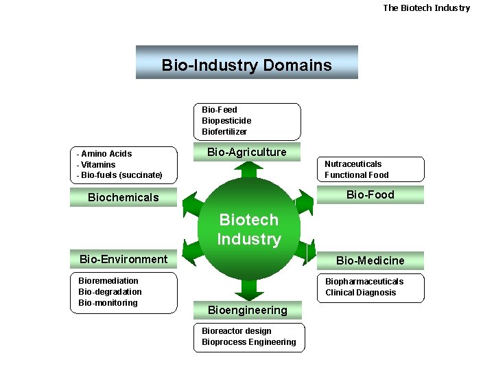The Biotech Industry Bio-Industry Domains Bio-Feed Biopesticide Biofertilizer - Amino Acids - Vitamins -