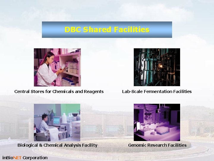 DBC Shared Facilities Central Stores for Chemicals and Reagents Biological & Chemical Analysis Facility