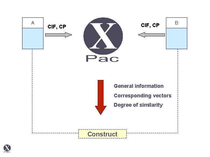 A CIF, CP General information Corresponding vectors Degree of similarity Construct B 