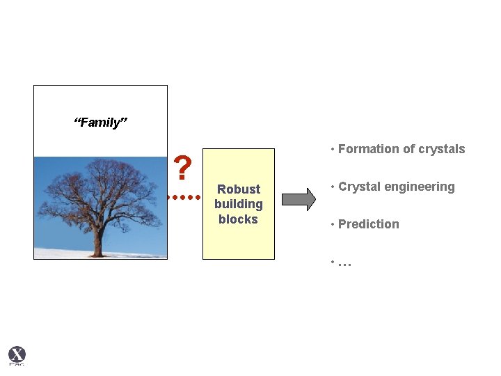 “Family” ? • Formation of crystals Robust building blocks • Crystal engineering • Prediction