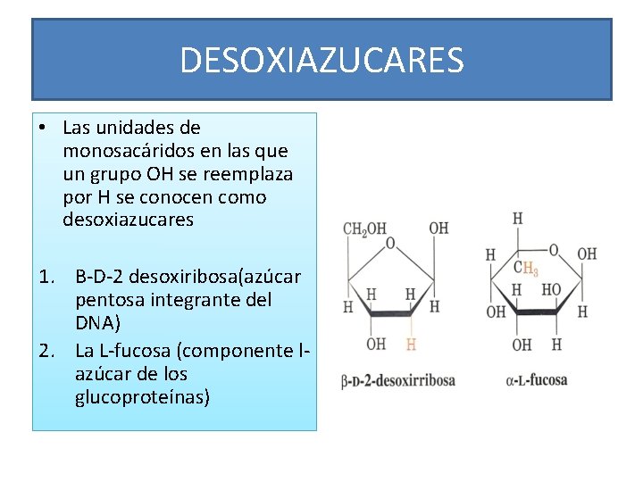 DESOXIAZUCARES • Las unidades de monosacáridos en las que un grupo OH se reemplaza