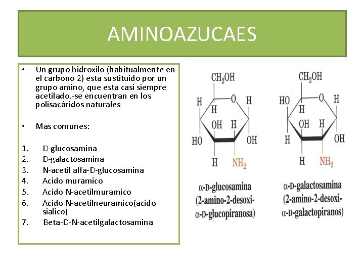 AMINOAZUCAES • Un grupo hidroxilo (habitualmente en el carbono 2) esta sustituido por un