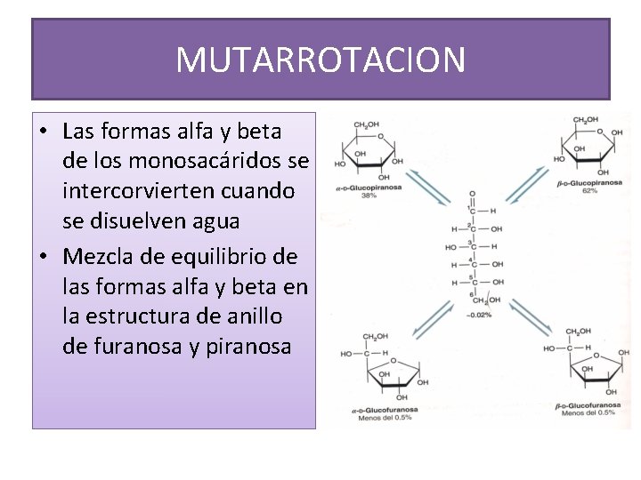 MUTARROTACION • Las formas alfa y beta de los monosacáridos se intercorvierten cuando se