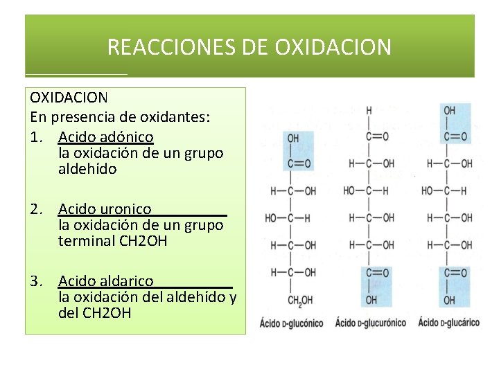 REACCIONES DE OXIDACION En presencia de oxidantes: 1. Acido adónico la oxidación de un