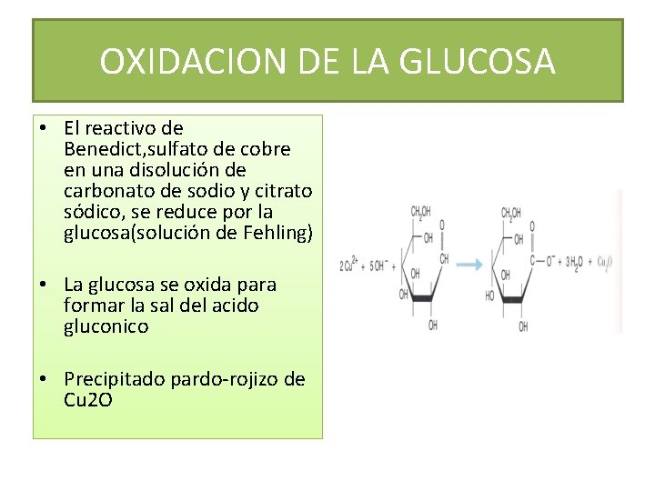 OXIDACION DE LA GLUCOSA • El reactivo de Benedict, sulfato de cobre en una