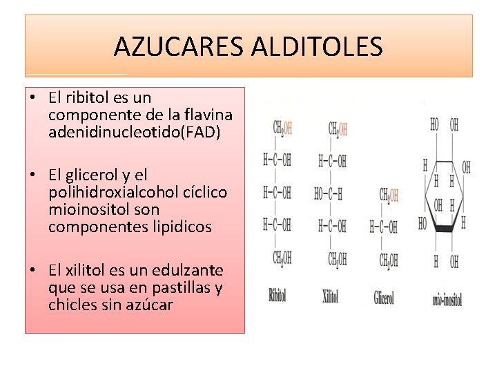 AZUCARES ALDITOLES • El ribitol es un componente de la flavina adenidinucleotido(FAD) • El