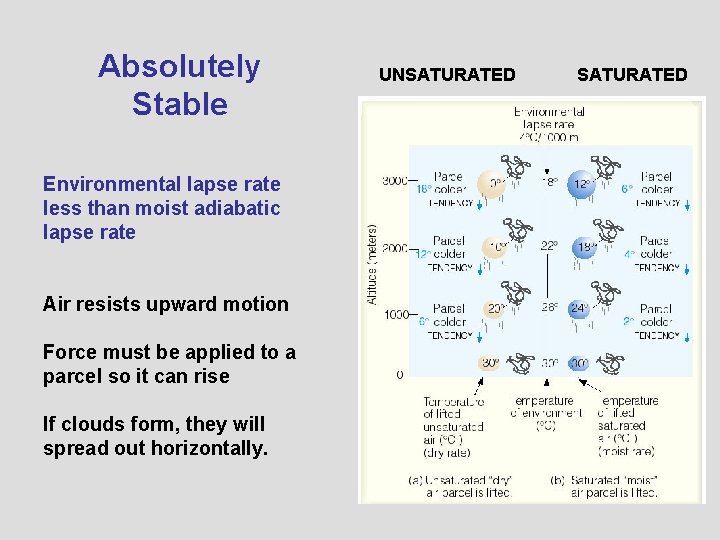 Absolutely Stable Environmental lapse rate less than moist adiabatic lapse rate Air resists upward