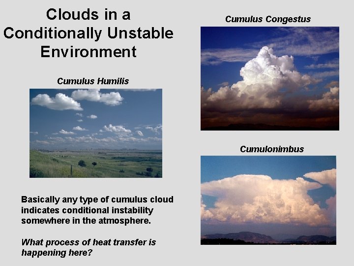 Clouds in a Conditionally Unstable Environment Cumulus Congestus Cumulus Humilis Cumulonimbus Basically any type
