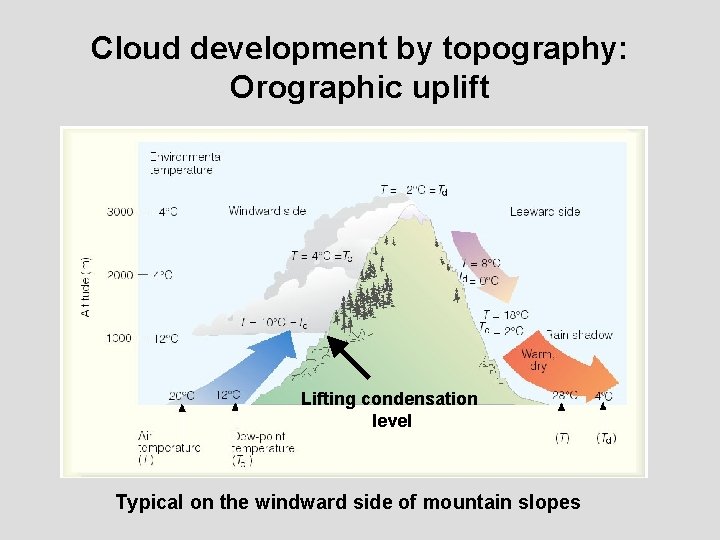 Cloud development by topography: Orographic uplift Lifting condensation level Typical on the windward side