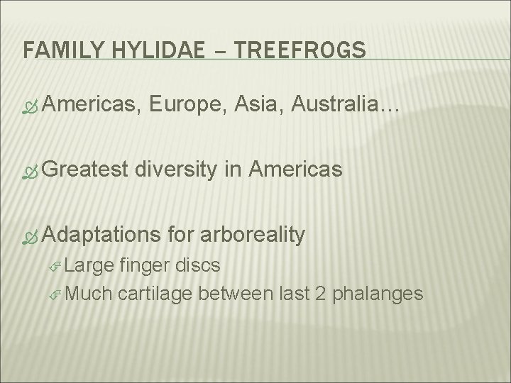 FAMILY HYLIDAE – TREEFROGS Americas, Greatest Europe, Asia, Australia… diversity in Americas Adaptations Large
