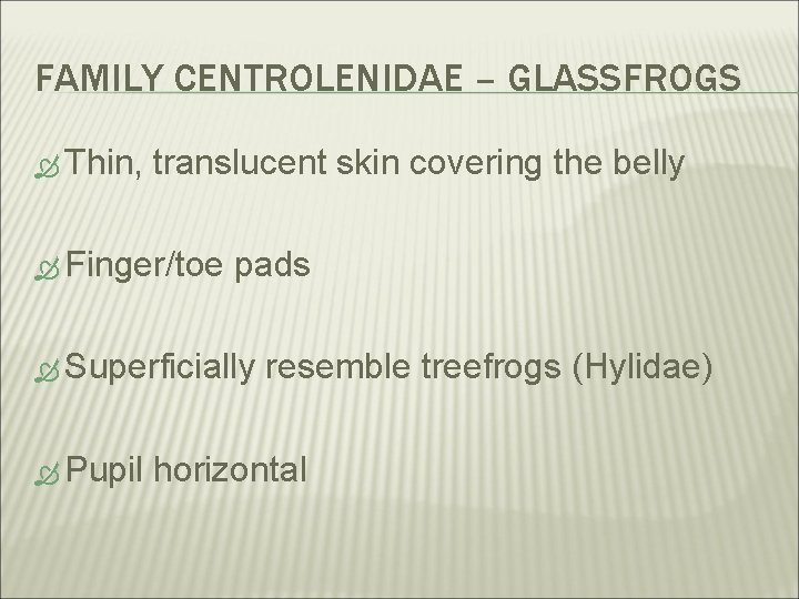 FAMILY CENTROLENIDAE – GLASSFROGS Thin, translucent skin covering the belly Finger/toe pads Superficially Pupil