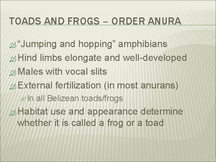 TOADS AND FROGS – ORDER ANURA “Jumping and hopping” amphibians Hind limbs elongate and