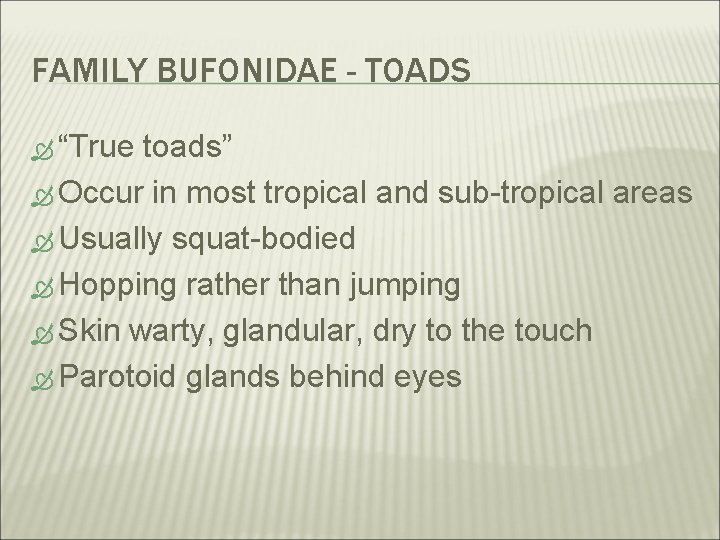 FAMILY BUFONIDAE - TOADS “True toads” Occur in most tropical and sub-tropical areas Usually
