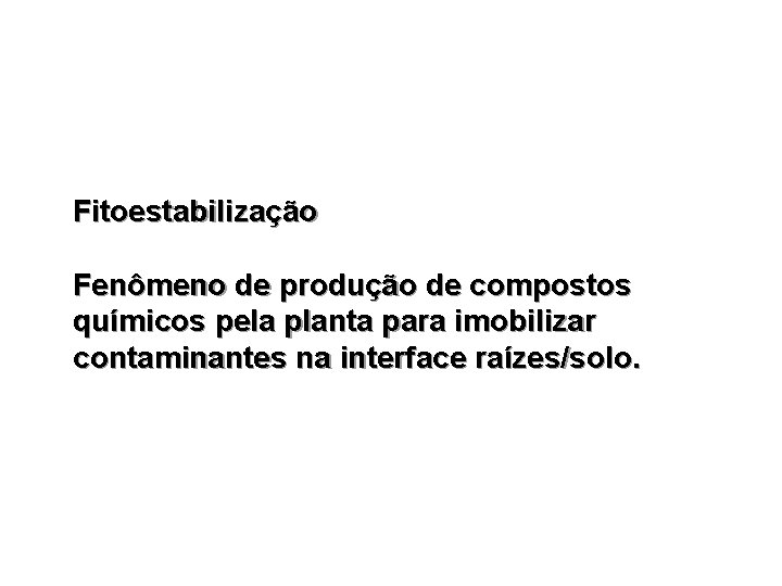 Fitoestabilização Fenômeno de produção de compostos químicos pela planta para imobilizar contaminantes na interface