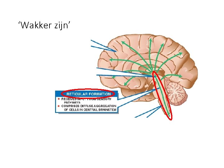 ‘Wakker zijn’ 