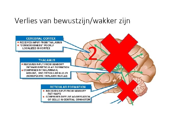 Verlies van bewustzijn/wakker zijn 2 