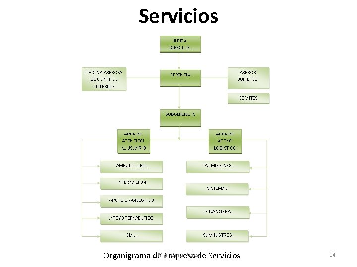 Servicios Omar Pérezde Servicios Organigrama de. Mgr. Empresa 14 
