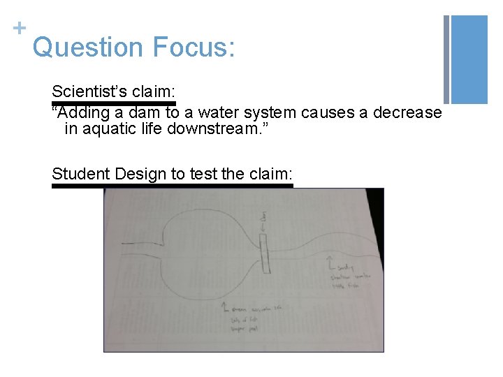 + Question Focus: Scientist’s claim: “Adding a dam to a water system causes a