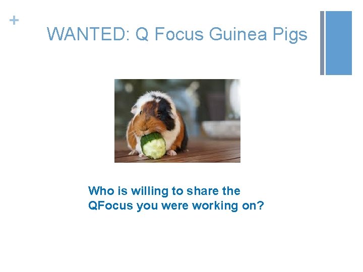 + WANTED: Q Focus Guinea Pigs Who is willing to share the QFocus you