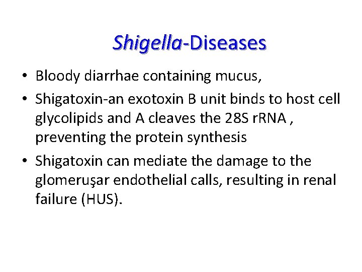 Shigella-Diseases • Bloody diarrhae containing mucus, • Shigatoxin-an exotoxin B unit binds to host