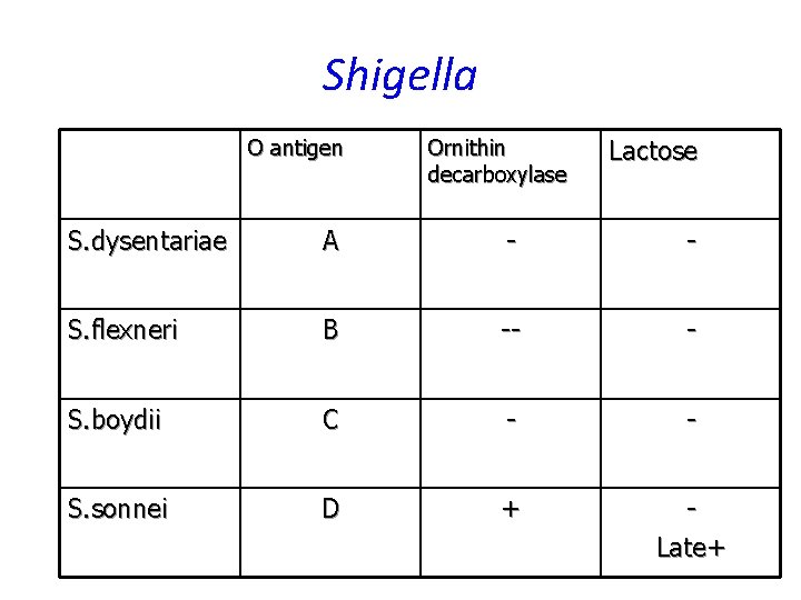 Shigella O antigen Ornithin decarboxylase Lactose S. dysentariae A - - S. flexneri B