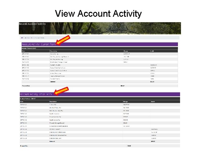 View Account Activity 