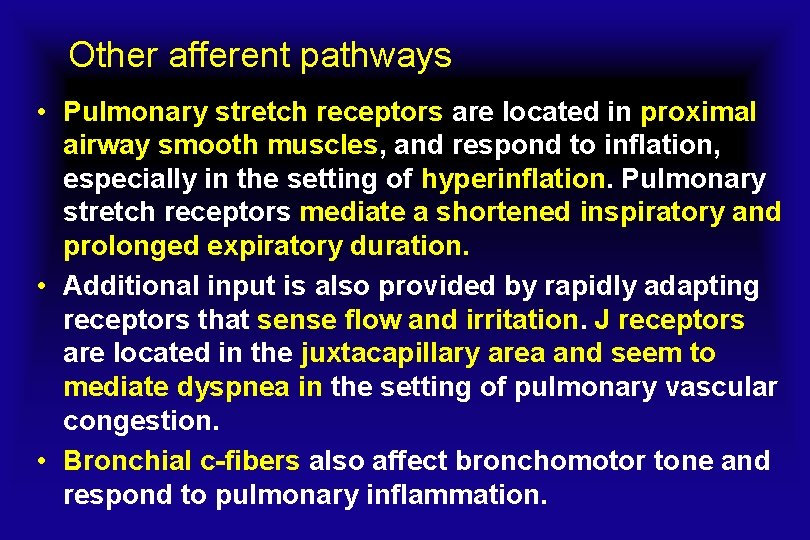 Other afferent pathways • Pulmonary stretch receptors are located in proximal airway smooth muscles,