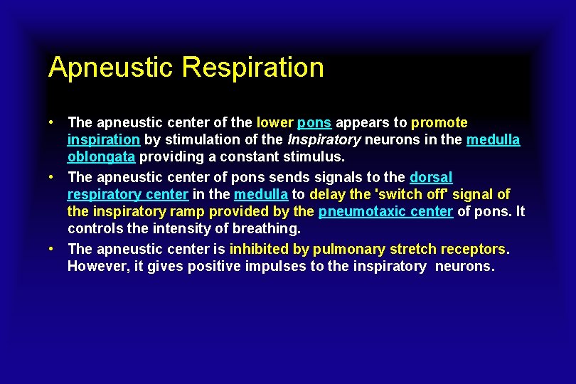 Apneustic Respiration • The apneustic center of the lower pons appears to promote inspiration