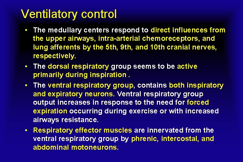 Ventilatory control • The medullary centers respond to direct influences from the upper airways,