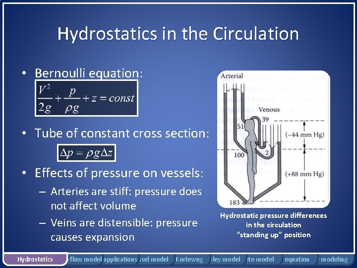 Hydrostatics in the Circulation • Bernoulli equation: • Tube of constant cross section: •